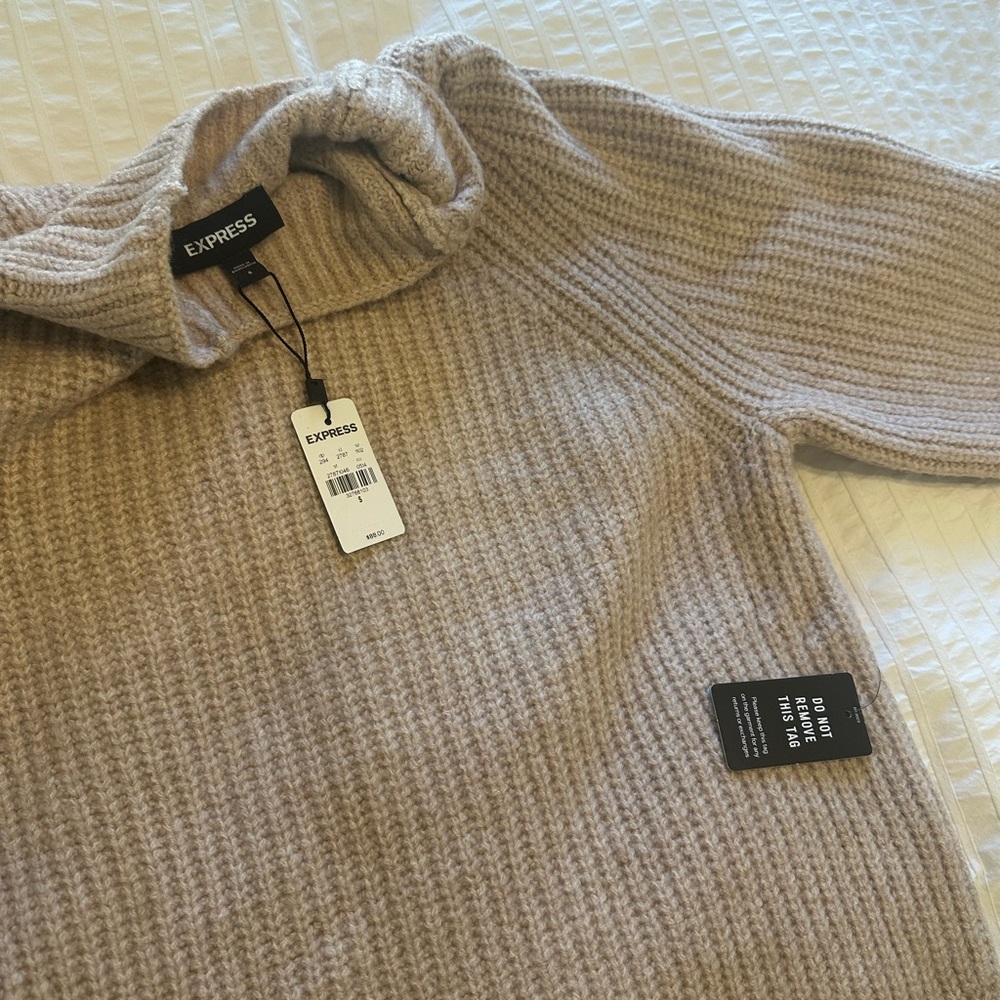 Express Long Sleeve Knit Mock Neck Dress